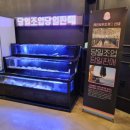 레인보우조개 이미지