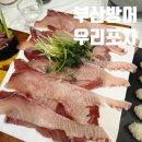갈 때 마다 감동 받는 부산 최고의 방어 맛집 우리포차 내돈내산 후기