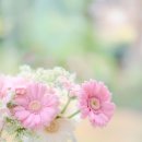 티디컴퍼니 이미지