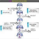 이미지로 재정리 해보는 통진당 RO 사건 이미지