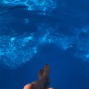 코코스협재 이미지