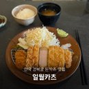 사이카츠 | 안국 맛집 일월카츠｜부드러운 로스카츠 후기