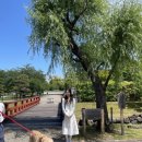 2박3일 여행기 ✈️ (Part2; Day3: 슨푸성공원, 전망대, 시미즈 수산시장(마구로 천국 다이짱), 기념품 후기)