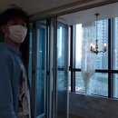 다홍 이미지