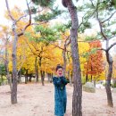가을 구김벨벳원피스와 롱~ 로브 착샷!! 이미지