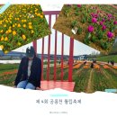 파주세무서 | 축제 전날 가본 후기 l 파주 가볼만한 곳 '공릉천 튤립축제🌷' (가는법, 무료주차, 포토스팟)