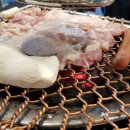 낙원동숯불닭갈비 티스토리