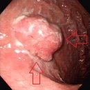 데일리연합의원 이미지