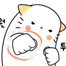 하은푸드 이미지