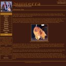 밸런스 앤 브리딩 이미지