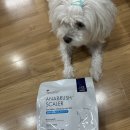 메디웍스 | 🦷 메디웍스 아나브러쉬 일반두상용 치석 관리 추천