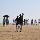 바다추억 이미지