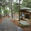 송정자연휴양림 이미지