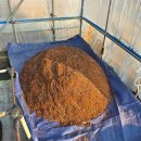 제일농약사 | 고추 파종🌱 | 4일간의 기록 조각들