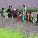 꽃길가득