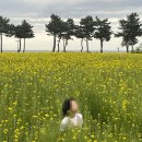 양양 초초펜션 | ㅣ속초 1박 2일 여행 코스 대신 짜드릴게요ㅣ내돈내산 실제 리얼 후기 공개ㅣ보는 건 공짜니까 일단 드루와