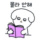 씰리침대의왕가구단지
