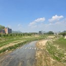 청미천 4 이미지