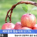 청송사과 - 수원시 장안구 경수대로878번길 12 | 청송사과