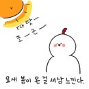 빌리프짐 선부역점 이미지