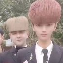 유지아 카카오 검색결과