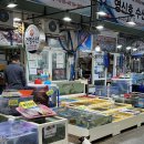 하늘과 바다사이 이미지