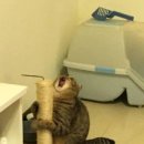 준이수산 이미지