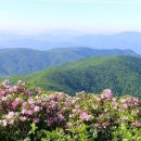 새가 길을 찾는 방법 이미지