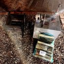 현북면사무소 | 강원도 글램핑 추천 트리플 펜션&amp;글램핑 후기, 동호해변 산책부터 모닥불까지