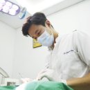 이준호서울미시간치과 이준호 원장이 전하는 사랑니 발치의 중요성