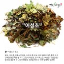 화산영농조합법인 이미지