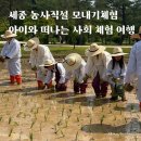 전 기황후 릉 터 | [공지] 모내기체험 여주 세종대왕릉 알찬 무료 행사 아이와 농촌체험