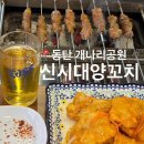 신시대양꼬치