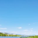 세천강변 이미지