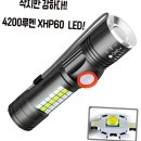 진성미니 이미지