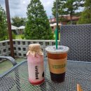 마음가짐 | 임신 계획과 준비 그리고 마음가짐 (배란일 계산과 임테기 사용 /실제 후기)