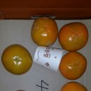 진가네농원