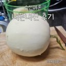 [천안 수신메론] 성성동 하나로마트 5kg 내돈내산 구매 후기 및 2026 축제 일정 정리