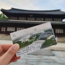 서울 혼자여행 덕수궁 꿀팁 낮과밤 둘 다 봐야 제 맛~!