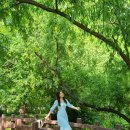 인헌동-14 이미지