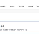 대전청년