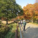 2547-한밤의 사진편지 제2547호(제496회 주말걷기 후기 - 권영춘.신금자/&#39;17/11/7/화)
