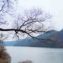 음성군 특별교통수단 | 물결 위의 시(詩)가 머무는 자리, 음성 용계저수지 둘레길에서 힐링