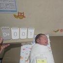 01-50 동구 | 울산 보람병원 초산 유도분만에서 응급제왕하게 된 후기