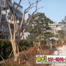 운중체육공원2 이미지