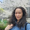 광교서초공인중개사사무소 | [J:D] 벚꽃 맞이 신간 서적! "공인중개사x행정사 레벨업100"