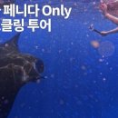 톡톡투어 - 금천구 가산디지털1로 171 | 톡톡투어