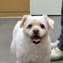 계양메디칼센터 이미지