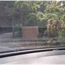 은혜쉼터 이미지