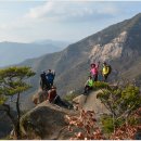 동산남성 이미지